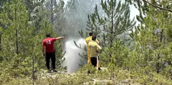 Kastamonu'daki orman yangınları kontrol altına alındı