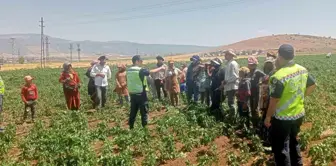 Gaziantep'te 357 Tarım İşçisine Trafik Güvenliği Eğitimi Verildi