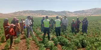 Gaziantep'te mevsimlik tarım işçilerine trafik eğitimi verildi