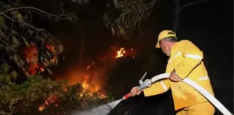 Bodrum'daki yangın söndürüldü mü? Bodrum orman yangınında son durum nedir?