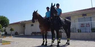 Ayvalık Sarımsaklı Plajları'nda Atlı Jandarma Birliği Göreve Başladı