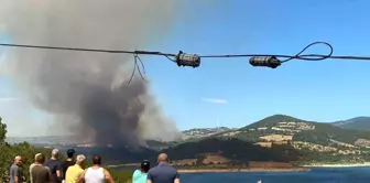 Çanakkale'de Orman Yangını Kontrol Altına Alınıyor