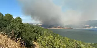 Çanakkale'de Tarım Arazisinde Çıkan Yangına Müdahale Ediliyor