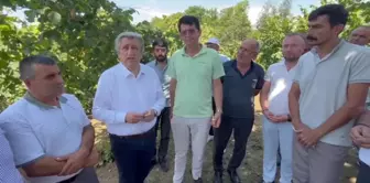 CHP Samsun Milletvekili Murat Çan, Fındık Üreticilerinin Sorunlarını Dile Getirdi