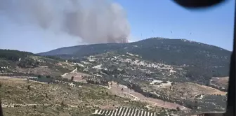 Manisa'da ormanlık alanda çıkan yangına müdahale başladı