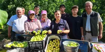 Çanakkale'nin Bayramiç ilçesinde Bayramiç beyazı nektarının üretimi bekleniyor