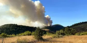 Çanakkale'de 300 Hektarlık Orman Yangını Kontrol Altına Alındı