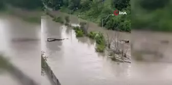 Kanada'da rekor yağışlar sonucu sokaklar ve evler sular altında kaldı