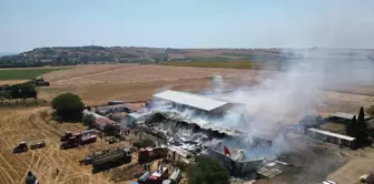 Tekirdağ'da çiftlik yangınında 15 bin saman balyası zarar gördü