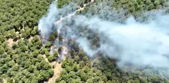 Çanakkale'de Orman Yangınına Havadan ve Karadan Müdahale