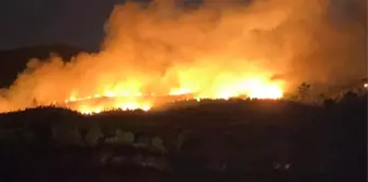 Uşak, Çanakkale ve Balıkesir'de orman yangını alarmı! Çok sayıda ev tahliye edildi