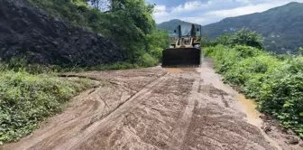 Trabzon'da sağanak yağış yolları etkiledi