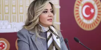 İYİ Parti Milletvekili Aylin Cesur Parti Üyeliğinden İstifa Etti