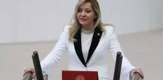 Aylin Cesur İYİ Parti'den istifa mı etti? Aylin Cesur kimdir, kaç yaşında ve nereli?