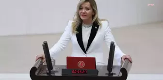 İYİ Parti Isparta Milletvekili Aylin Cesur Partiden İstifa Etti