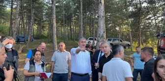 Karabük'te çıkan orman yangını 8 saat sonra kontrol altına alındı