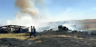 Çorlu'da çiftlik yangınında 500 dönüm tarım arazisi zarar gördü