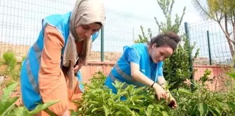 Adana Gençlik Merkezi, Doğal Tarım Ürünleriyle Çocuklara Katkı Sağlıyor