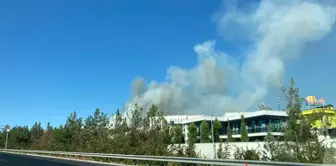 Gaziantep'te çıkan orman yangınına müdahale ediliyor