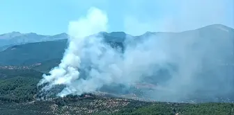 Hatay'ın Hassa ilçesinde orman yangınına müdahale başladı