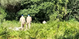 Zonguldak'ta kaybolan emekli maden işçisi için arama çalışmaları sürüyor