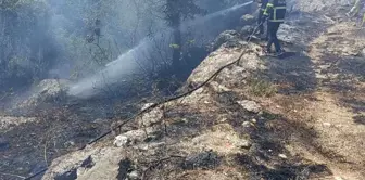 Hatay'ın Yayladağı ilçesinde orman yangını söndürüldü