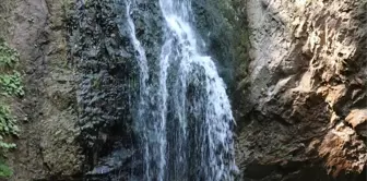 Karabük'teki Baklabostan Tabiat Parkı Tatilcilerin İlgi Odağı