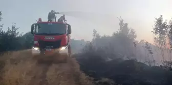 Bingöl'ün Genç ilçesinde orman yangını çıktı