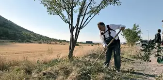 Talas Belediye Başkanı Mustafa Yalçın, kırsal mahallelerde ağaç bakımı yapıyor