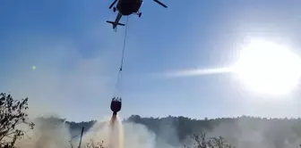 Çanakkale'de çıkan yangın kontrol altına alındı