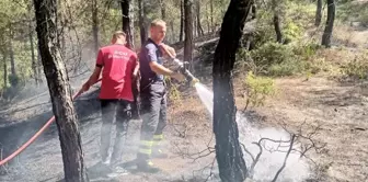 Hatay'ın Yayladağı ilçesinde orman yangını kontrol altına alındı