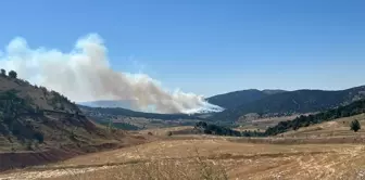 Konya Ilgın'da Orman Yangını Çıktı