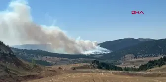 Konya Ilgın'da Orman Yangını