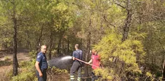 Hatay'da ormanlık alanda çıkan yangın kontrol altına alındı