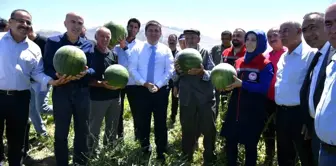 Karaman Valisi Ortaoba köyünde karpuz hasadına katıldı