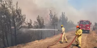 Bolu yangın söndü mü? 15 Ağustos Bolu yangın son durum ne?