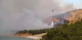 Alevler Anzak Koyu'na Dayandı