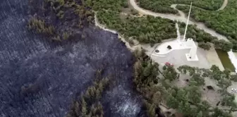 Çanakkale'de orman yangını sonucu bir günde yaşanan kayıp gözler önüne serildi