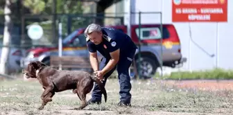 Depremde enkaz altından çıkan itfaiyeci, arama kurtarma köpekleriyle afetzedelere yardım ediyor