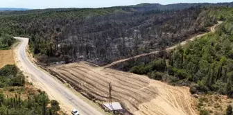 Çanakkale'de Büyükanafarta köyü yakınlarında çıkan yangın dron ile görüntülendi