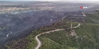 Tarihi Gelibolu Yarımadası'ndaki yangın dron ile görüntülendi