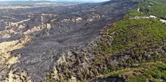 Çanakkale Savaşları'nın yaşandığı Tarihi Gelibolu Yarımadası'nda Yangın Kontrol Altına Alındı