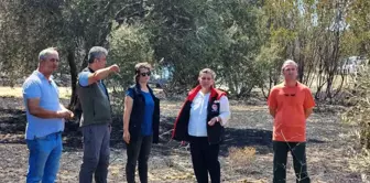 Çanakkale'deki Orman Yangını Sonrası Hasar Tespit Çalışmaları Başladı