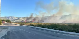 Silifke'de çıkan yangın söndürüldü