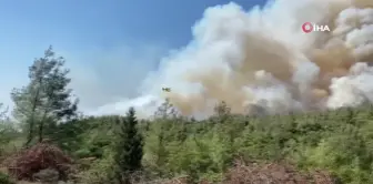 Çanakkale'deki tarihi yangında uçak ve helikopterler 708 sorti yaptı, 146 saat havada kaldı