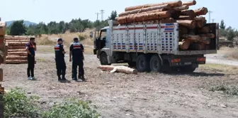 Çanakkale'de Tomruk Kazası: Kamyon Sürücüsü Hayatını Kaybetti