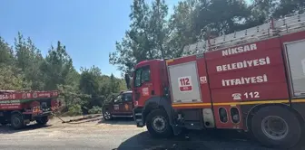 Tokat'ın Niksar ilçesinde çıkan orman yangını kısa sürede söndürüldü