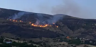 Malatya'da çıkan orman yangını 7 saatte kontrol altına alındı