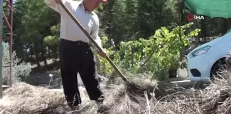 Torosların şifa dağıtan adamı