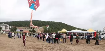 Tokat'ta Uçurtma Şenliği Düzenlendi